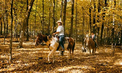 Discover Serenity And Adventure At Kankakee Equestrian Campground In