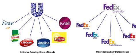 Umbrella Branding – Leveraged Growth