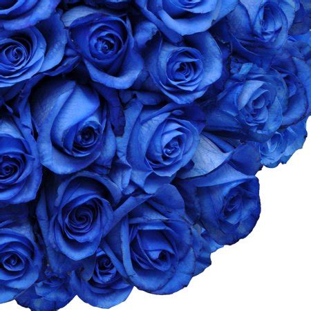 However, there are some types of naturally blue flowers that are stunning to look at. Natural Fresh Flowers - Tinted Blue Roses, 20", 50 Stems ...