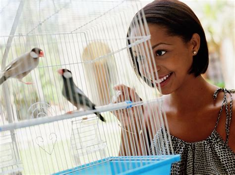 5 Easy Ways To Bond With Your Pet Bird Pet Birds Parrots Easy Guide