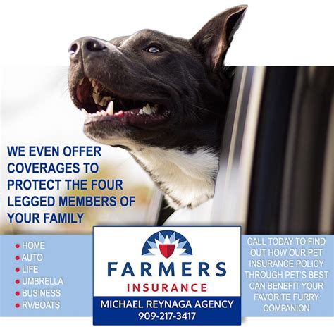 Maybe you would like to learn more about one of these? We make sure everything important to you is properly covered, including your pets. Come find out ...