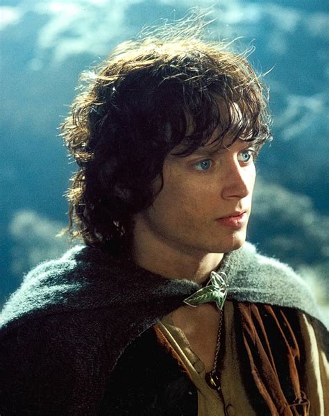 Fellowship Of The Ring Lord Of The Rings Narnia Saga Film Trilogies