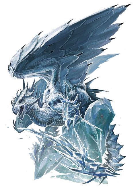 White Dragon Pathfinder Pfrpg Dnd Dandd D20 Fantasy White Dragon