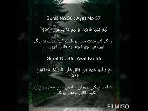 For tilawat, surah and para are available in audio / mp3 and pdf. Ayat #56 to 57 (surah yaseen) short description - YouTube