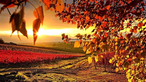Beautiful Autumn Wallpapers 67 Pictures