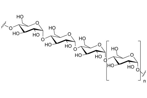 Polysaccharide Definition And Functions