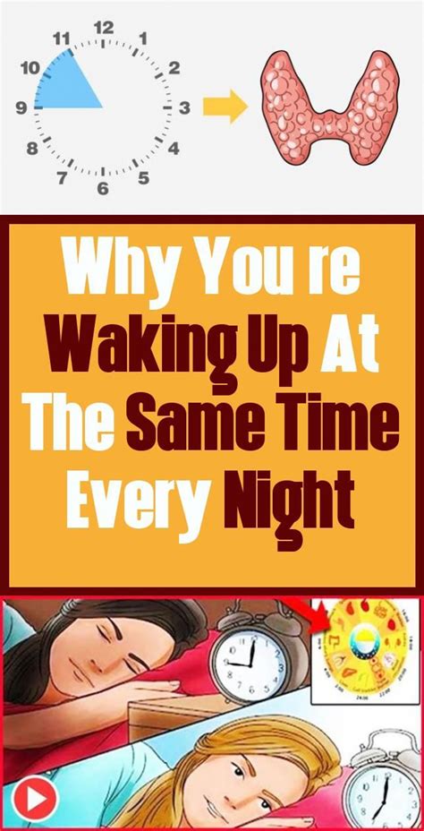 Why Do You Wake Up Every Night In The Same Time Energyflow Physical Condition Sleep