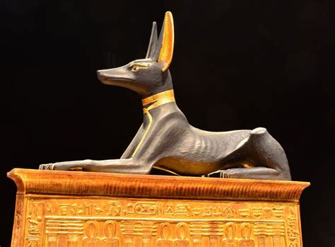Anubis The Jackal God Of Embalming Guarded One Room Of The Tomb