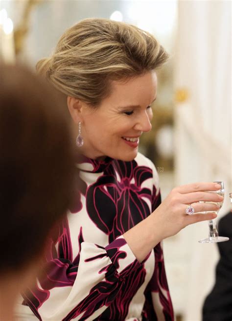 Queen Mathilde’s State Visit Sparkle In Belgium