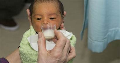 Cup Expressing Milk Newborn Breastmilk Feeding Feed