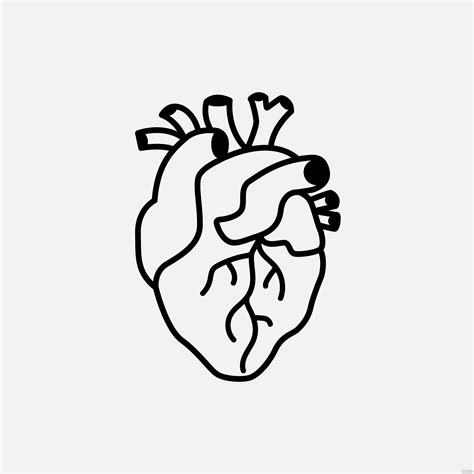 Free Real Heart Clipart Black And White Eps Illustrator  Png