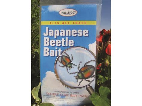 Japanese Beetle Bait Pack Whiffletree Farm And Nursery