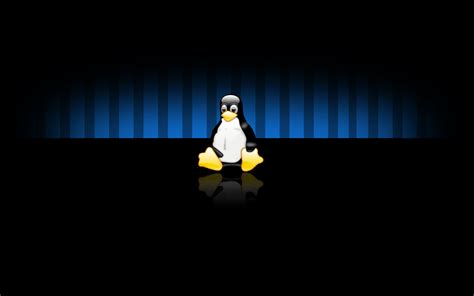 Linux Widescreen Wallpapers Hd Wallpapers Id 7119