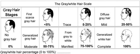 Figure1a Graywhite Hair Scale Was Used To Determine The Percentage Of Download Scientific