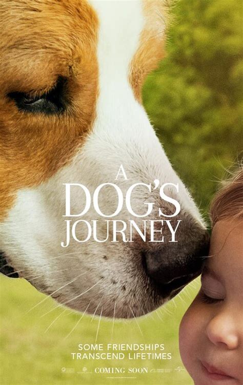 Why do you think they were included? A Dog's Journey Movie Poster (#8 of 11) - IMP Awards