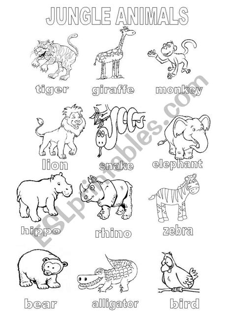 Jungle Animals Coloring Sheet Esl Worksheet By Shannoncronin