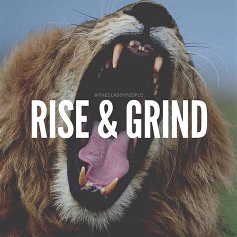rise and grind rise and grind quotes positive quotes motivation grind quotes