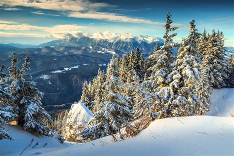 Magical Snowy Winter Landscapepoiana Brasovcarpathianstransylvania