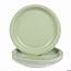 24 Solid Color Paper Plates  Sage Green 7 Discontinued