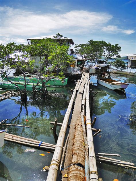 Makeshift Bamboo Bridges Connect Houses In An Island Community In