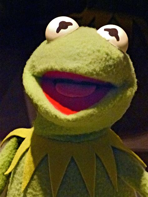 The Portrait Gallery Kermit The Frog