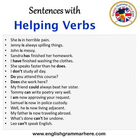 Sentences With Helping Verbs Archives English Grammar Here