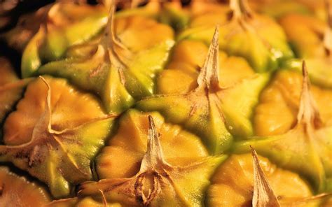 30 Pineapple Hd Wallpapers And Backgrounds