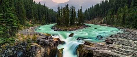 Download Green Forest Water Flow Waterfall Nature