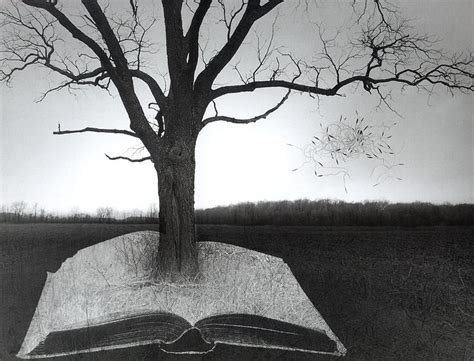 Pin By Jina H On I Love Art Surrealism Photography Jerry Uelsmann
