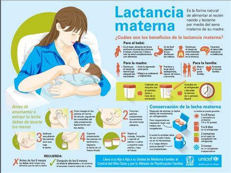 Beneficios De La Lactancia Materna Exclusiva Pdf Estos Beneficios