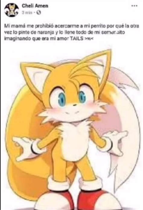 Nya Tails Meme By Amoguselpepe Memedroid