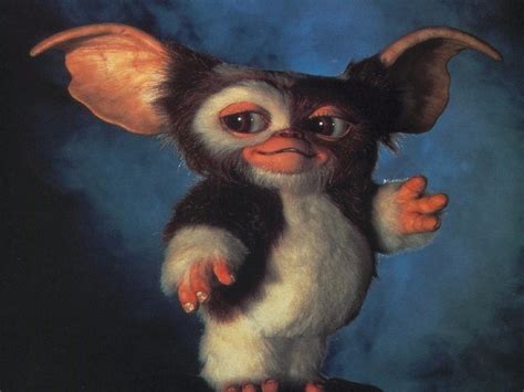 Gizmo Wallpapers Wallpaper Cave