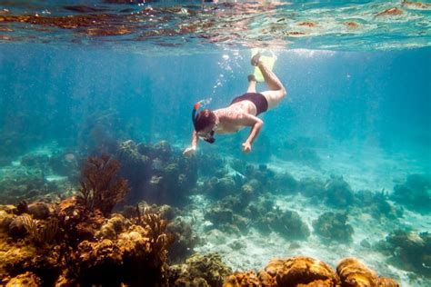 Four Winds Snorkel Tours Top 10 Snorkeling Spots In Maui Four Winds