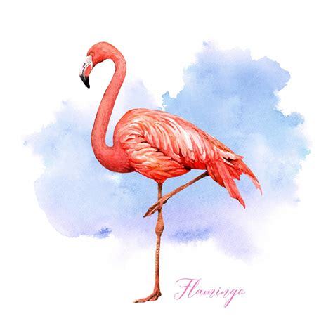 Premium Vector Watercolor Tropical Bird Flamingo With Colorful