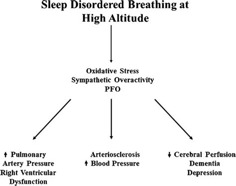 Sleep Disordered Breathing At High Altitude Is Associated With