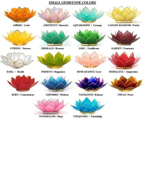 Lotus Flower Color Meanings Lotus Capiz Shell Candle Holders Create