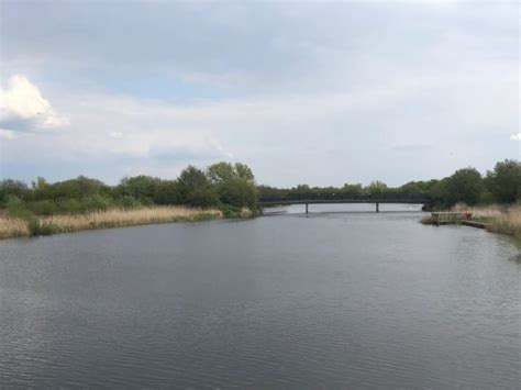 Walking At Dorney Wetlands