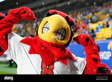 Pittsburgh Pa Usa 14th Oct 2023 Oct 14 2023 Cardinals Mascot