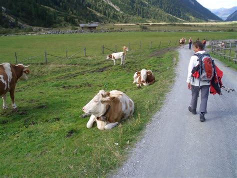 So kannst du direkt loswandern. Wandern im Pinzgau 2009 - Hohe Tauern I