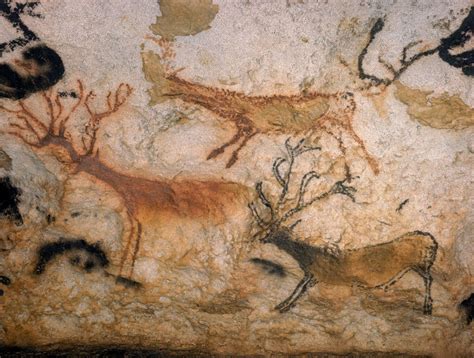 Life At Lascaux First Color Photos From Another World Lascaux Cave