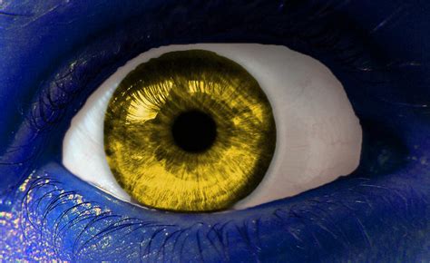Avatar Eye By Hachaosagent On Deviantart