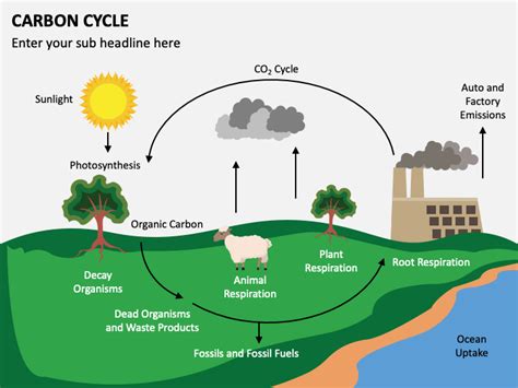 Carbon Cycle Powerpoint Template Ppt Slides