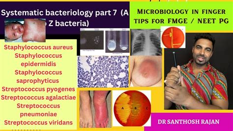 Systematic Bacteriology Part 7 Microbiology Rapid Revision Fmge