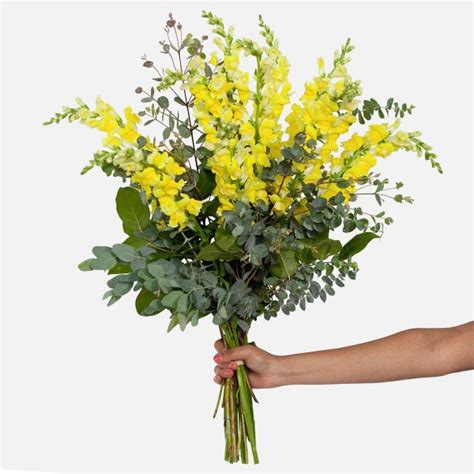 Yellow Snapdragon Bouquet Flower Delivery Nyc