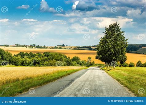Road Through The Field And Clouds On Blue Sky In Summer Day Stock Image