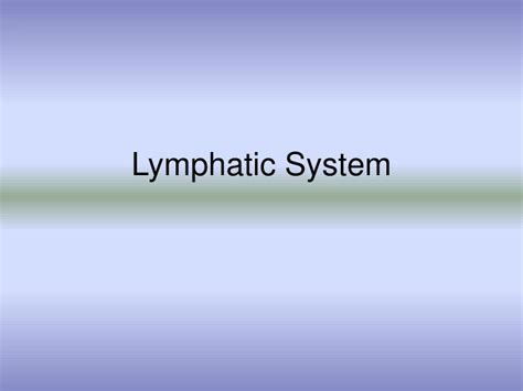 Ppt Lymphatic System Powerpoint Presentation Free Download Id1434844