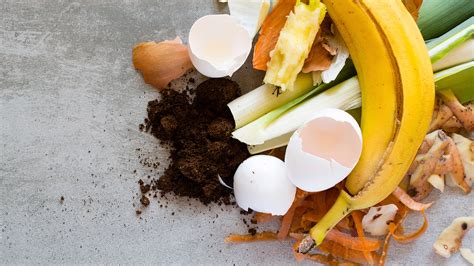 5 Benefits Of Composting At Home Healthy Huemans