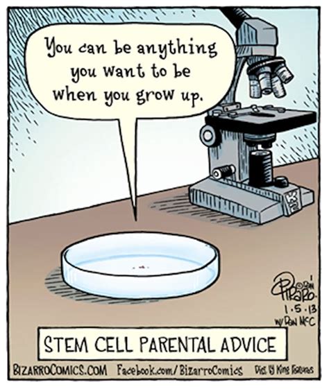 Stem Cell Parental Advice Biology Humor Science Humor Biology