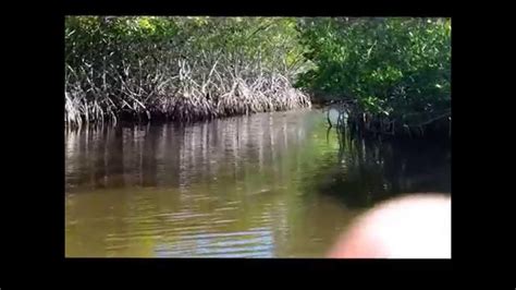 Captain Mitchs Everglades Private Airboat Tours Cool Airboat Rides In