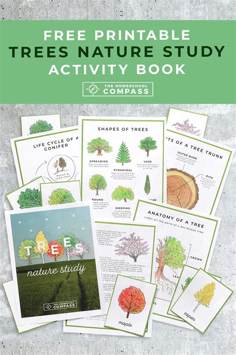 Free Printable Trees Nature Study Activity Book Homeschool Nature